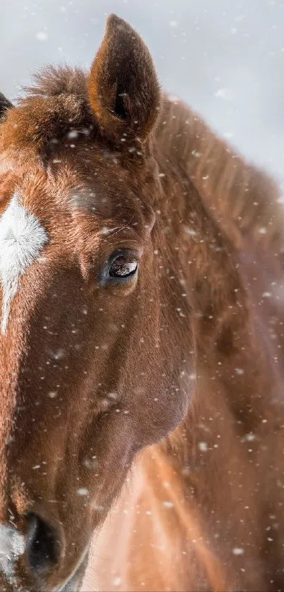 Majestic brown horse in snowy landscape.