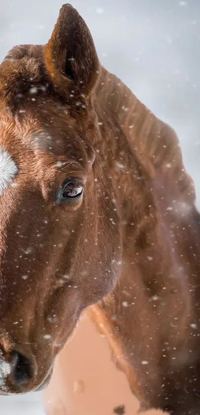 Majestic brown horse in a snowy setting, ideal for mobile wallpaper.
