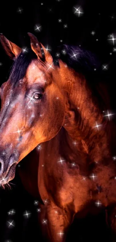 Majestic brown horse against starlit black background.