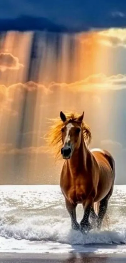 A horse runs through ocean waves under a sunset sky.