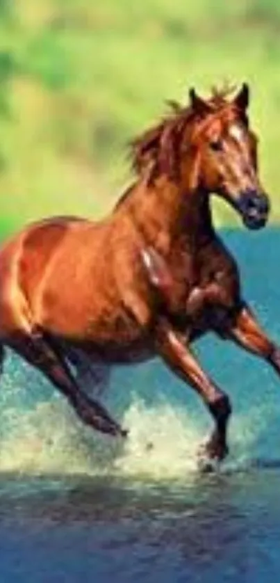 Majestic horse galloping through clear water with a vibrant background.