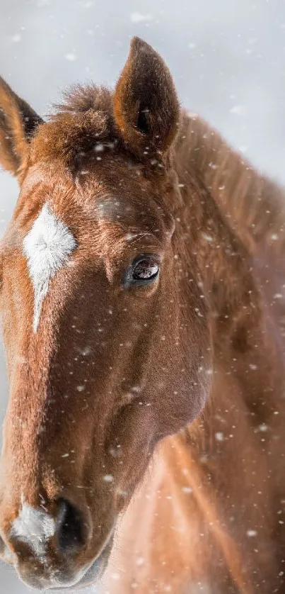 Majestic brown horse standing in falling snow, creating a serene winter scene.