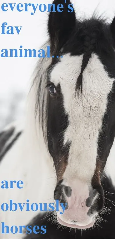 Black and white horse in a serene winter setting.