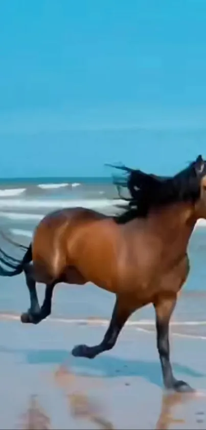 Majestic horse galloping on a sunny beach with ocean waves.