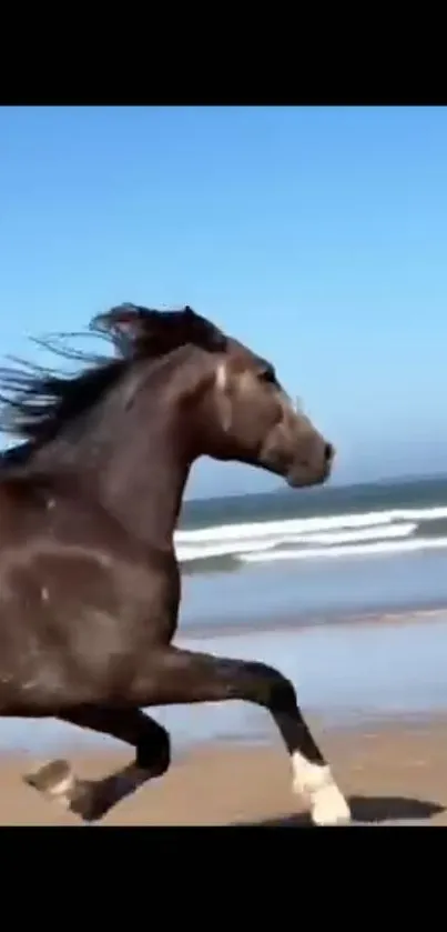 Running horse on a sandy beach with ocean waves.