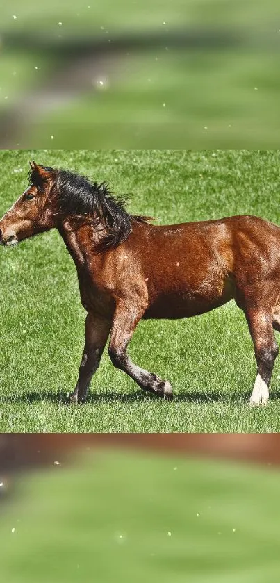 Majestic brown horse trotting on vibrant green grass.