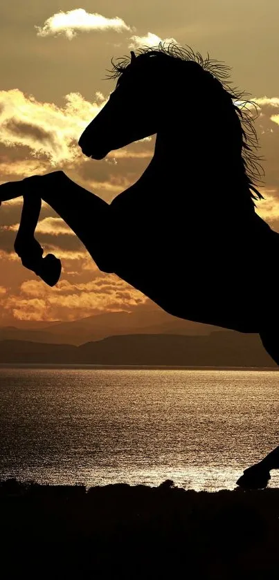 Silhouette of a horse rearing against a sunset background over water.