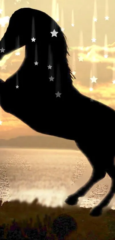 Silhouette of a horse with stars and a golden sky.