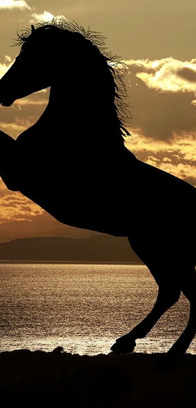 Silhouette of a rearing horse against a golden sunset backdrop.