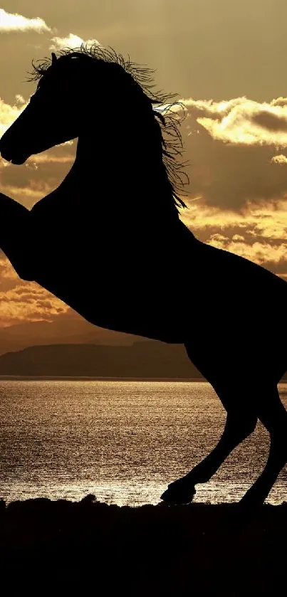 Silhouette of a rearing horse against a golden sunset background.