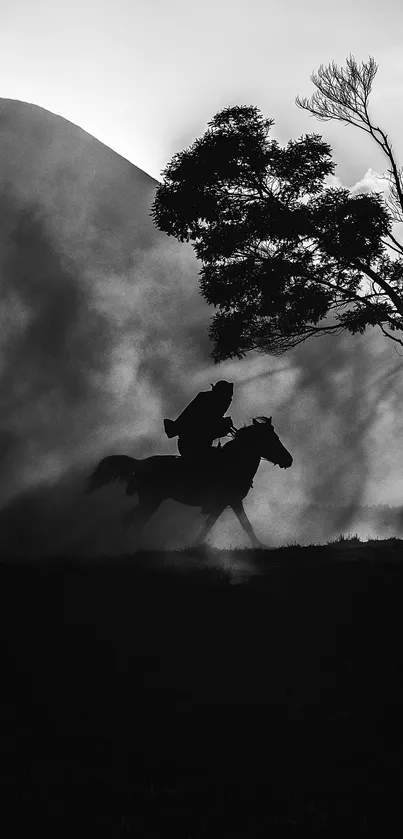 Monochrome horse silhouette against misty backdrop.