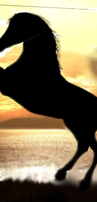 Silhouette of a horse rearing against a golden sunset on a mobile wallpaper.