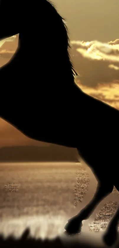 Horse silhouette against a sunset backdrop over water.