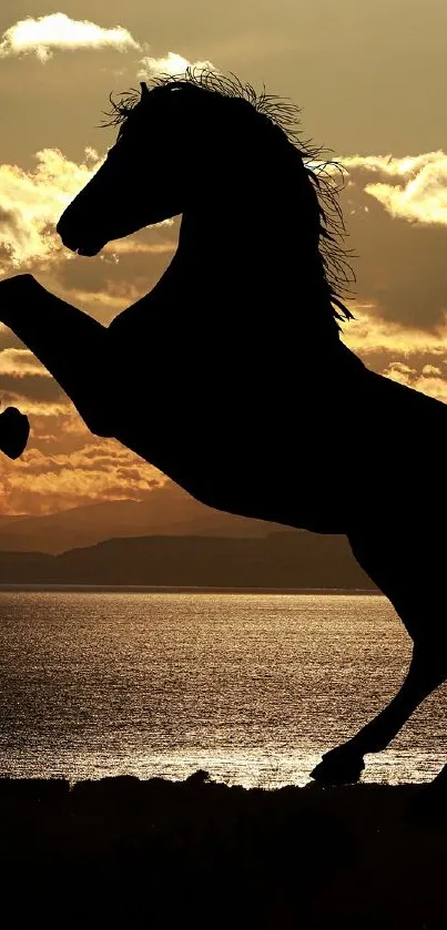 Silhouette of a horse rearing against a golden sunset over water.