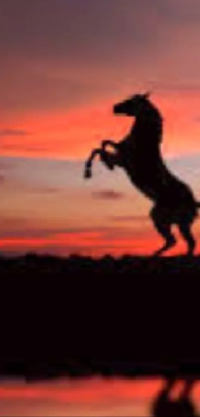 Silhouette of horses against a vibrant sunset sky, perfect for a mobile wallpaper.