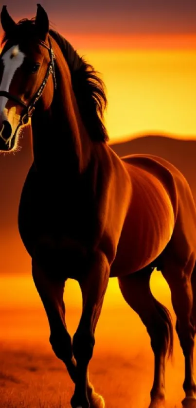 Silhouette of a horse against a vibrant orange sunset.