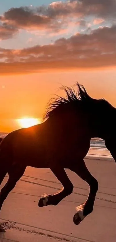 Majestic horse running on a beach at sunset with an orange sky.