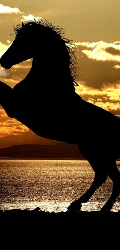 Silhouette of a rearing horse against a vibrant sunset.