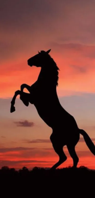 Silhouette of a horse against a vibrant sunset sky.