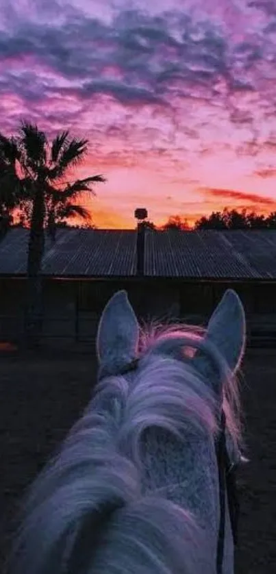 Silhouette of a horse with a vibrant purple sunset sky.