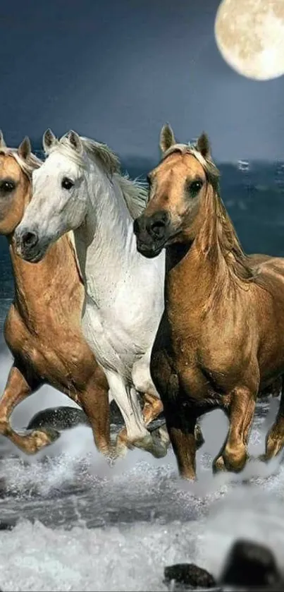 Three majestic horses running by the beach under a full moon at night.