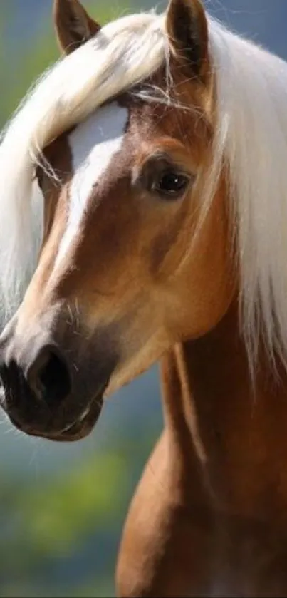 Majestic brown horse with white mane in serene setting.