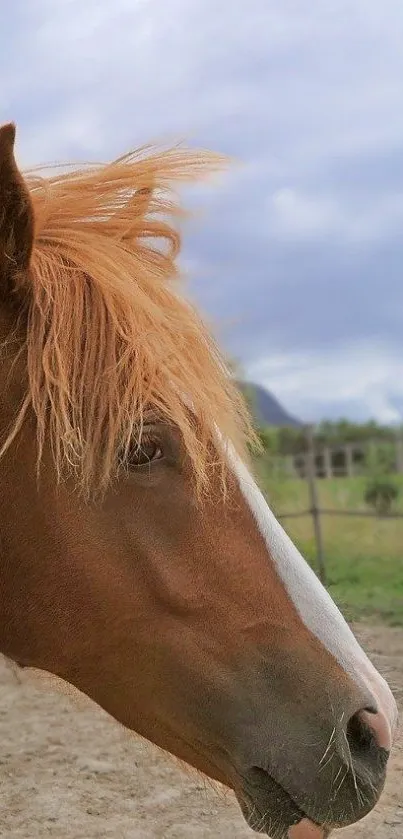 Chestnut horse in a tranquil setting with cloudy sky.