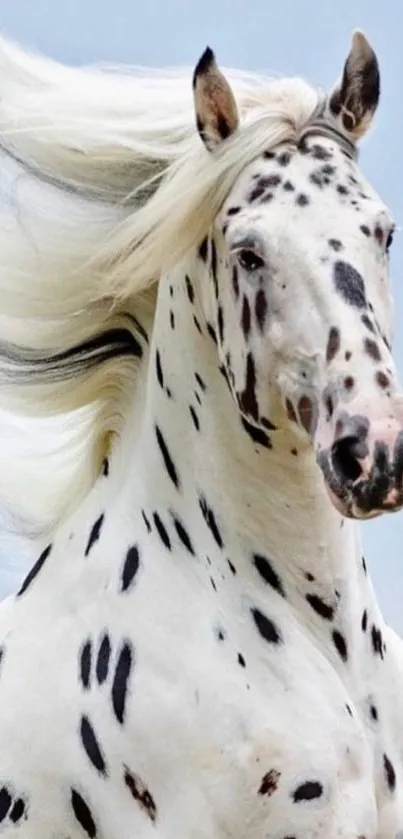 Majestic dappled horse with flowing mane.