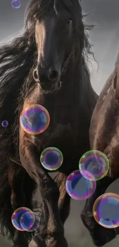 Majestic black horse with colorful bubbles background.