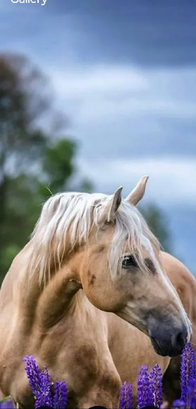 Majestic horse standing elegantly in a vibrant lavender field under blue sky.