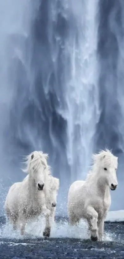 Two majestic white horses gallop in front of a misty waterfall.