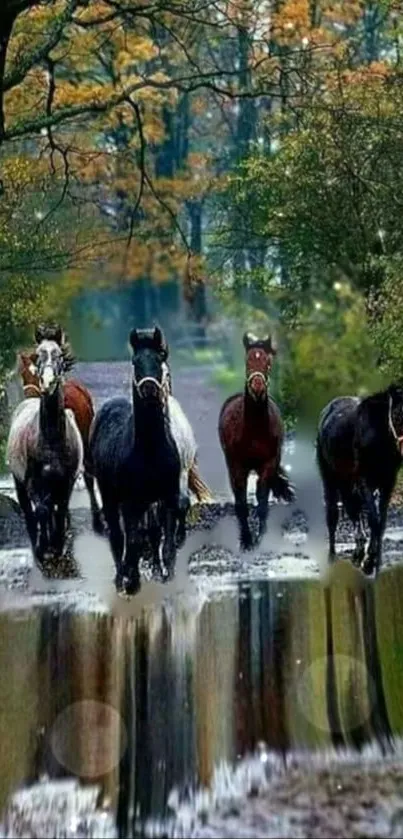 Majestic horses running down a forest path in autumn.