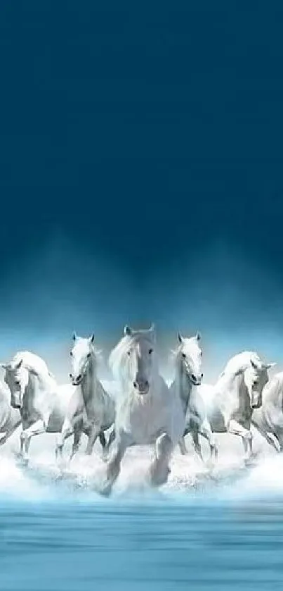 A group of white horses galloping through water against a blue backdrop.