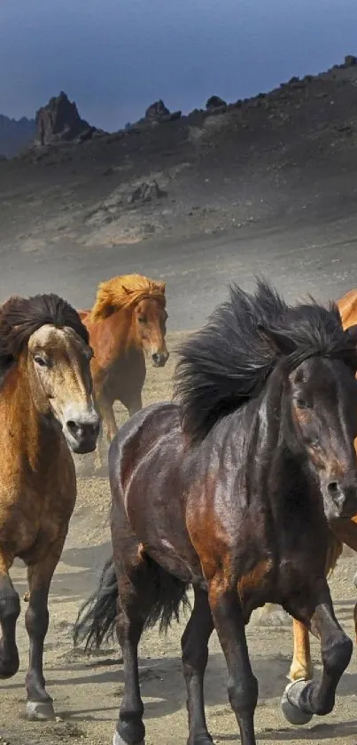 Wild horses running across a rugged mountain landscape.