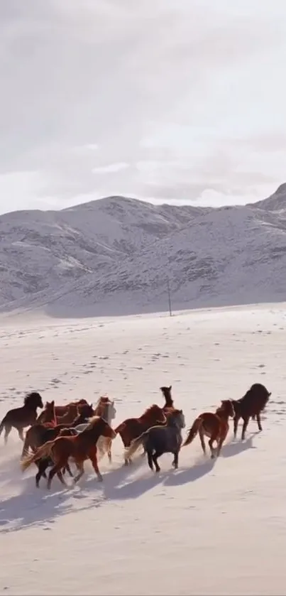 Wild horses race across a snowy mountain landscape, exuding freedom and beauty.