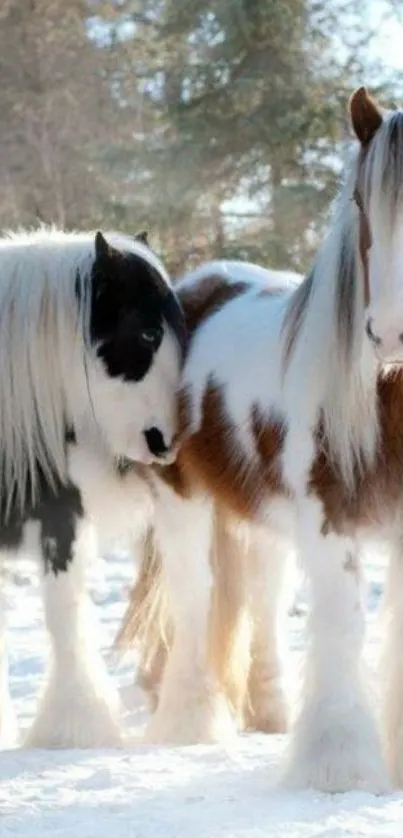 Two majestic horses in a snowy winter landscape.