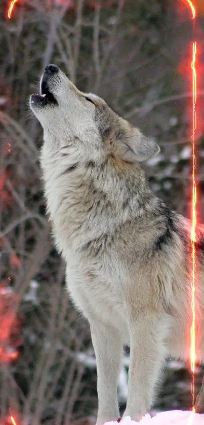 Wolf howling in snowy forest, artistic mobile wallpaper.