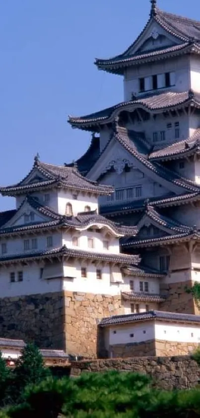 Mobile wallpaper featuring a majestic Japanese castle under a blue sky.