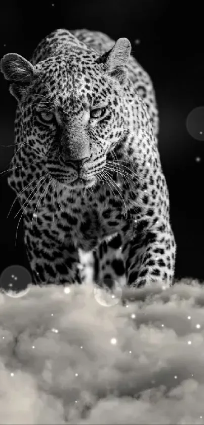 Black and white leopard walking through clouds wallpaper.