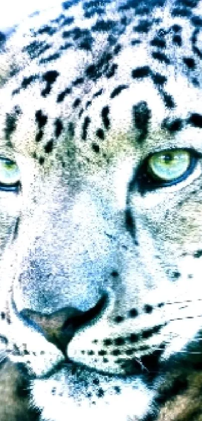 Majestic leopard in blue-grey tones on a mobile wallpaper.