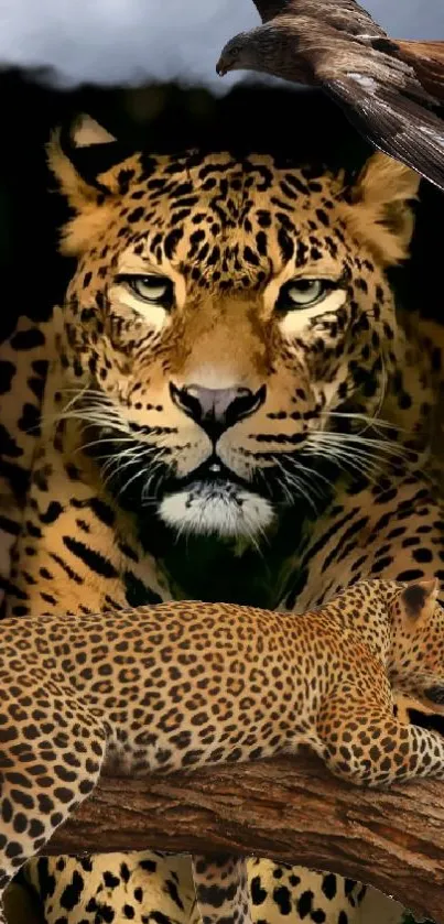 Majestic leopard in jungle setting with wildlife art.