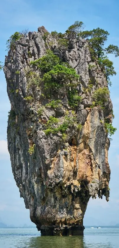 Limestone island with trees in serene waters under a blue sky.