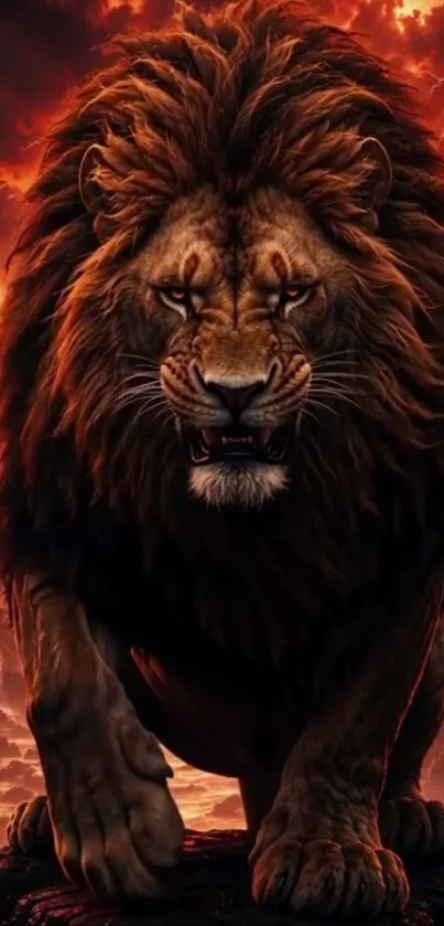 Majestic lion against a fiery sky, exuding power and fierceness.