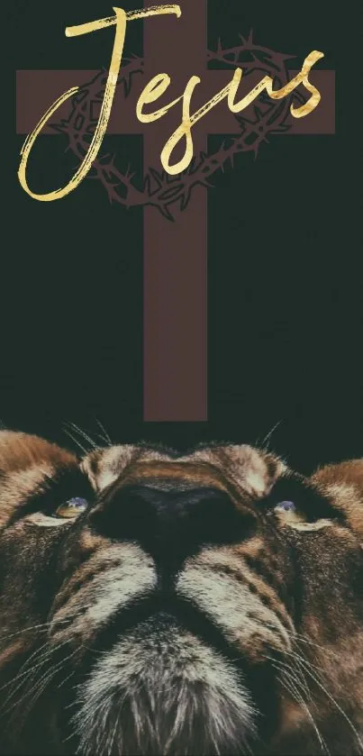 Lion gazing upward with cross in background on mobile wallpaper.