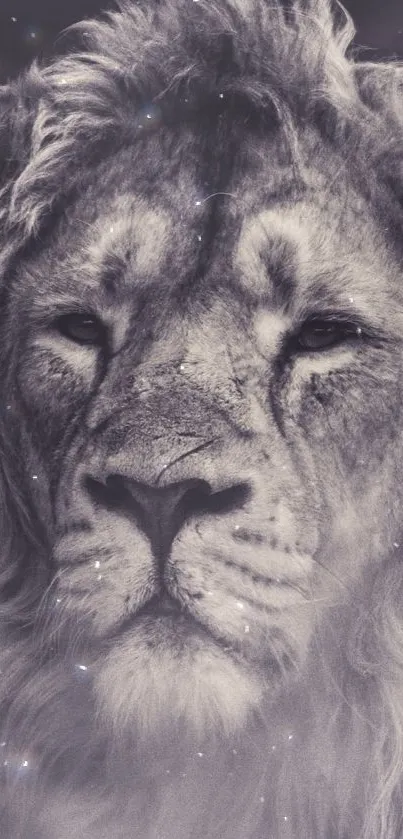 Grey lion artwork with cosmic background on mobile wallpaper.
