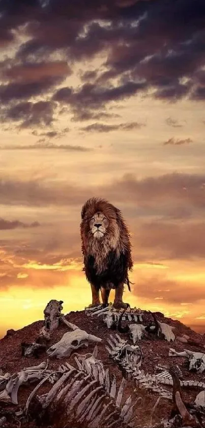 Lion on bone-covered hill at sunset with vivid skies.