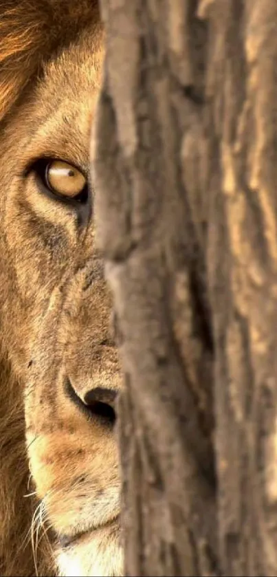 Majestic lion partially hidden behind tree in a stunning wildlife setting.