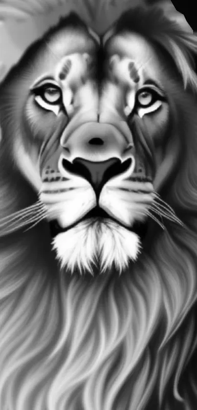 Black and white lion portrait wallpaper.