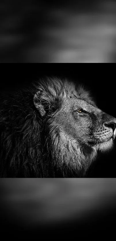 Majestic lion in black and white close-up profile on a phone wallpaper.