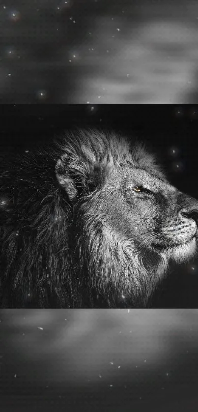 Black and white majestic lion wallpaper with cosmic background.